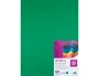 Liderpapel Cartulina 50x65 cm 240g/m2 Verde Navidad Paquete de 25 Hojas