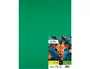 Liderpapel Cartulina 50x65 cm 240g/m2 Verde Navidad Paquete de 25 Hojas