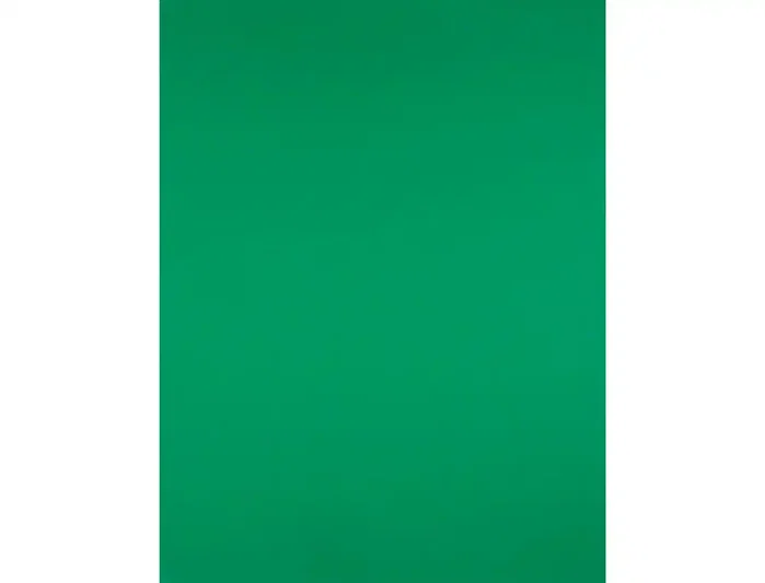Liderpapel Cartulina 50x65 cm 240g/m2 Verde Navidad Paquete de 25 Hojas Liderpapel Cartulina 50x65 cm 240g/m2 Verde Navidad Paquete de 25 Hojas