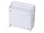 HENSEL Carcasa KV 1509 para 9 módulos IP54