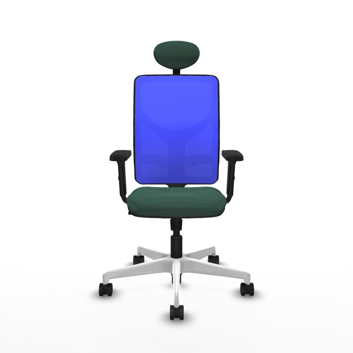 PIQUERAS Y CRESPO Silla de oficina Motilla con mecanismo Sincro, Verde botella y Azul