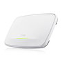 Punto de Acceso ZyXEL WBE660S-EU0101F Gris