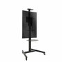 Tooq Soporte de Suelo COMETA FS1184M-B con Ruedas y Rotación 90° para Pantallas 37-70 pulgadas