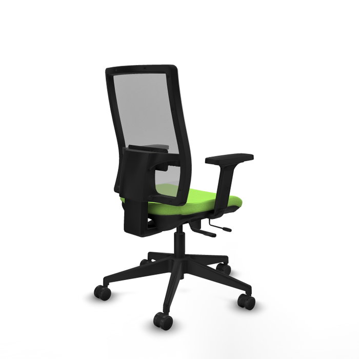 PIQUERAS Y CRESPO Silla de oficina Horna con mecanismo Sincro/Traslack, Pistacho y Gris PIQUERAS Y CRESPO Silla de oficina Horna con mecanismo Sincro/Traslack, Pistacho y Gris