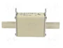 DF ELECTRIC Fusible NH0 de cerámica 35A 500VAC 250VDC gG