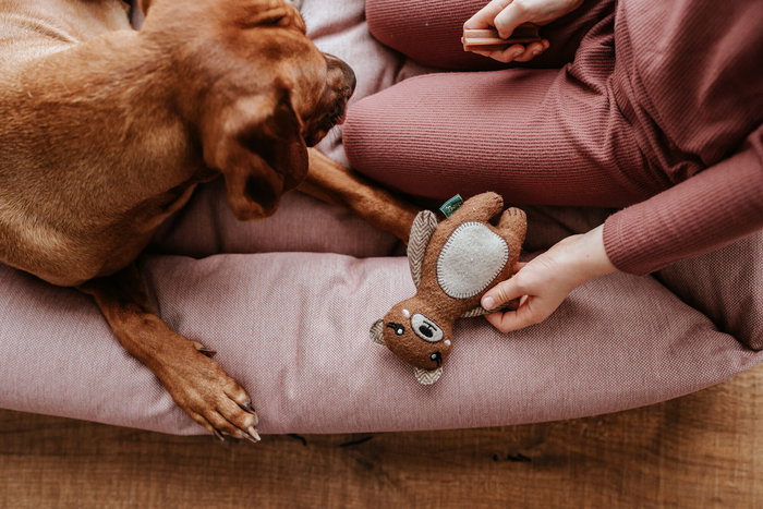 Hunter Juguete Fyn Oso 20 cm Poliéster y Lana Reciclada