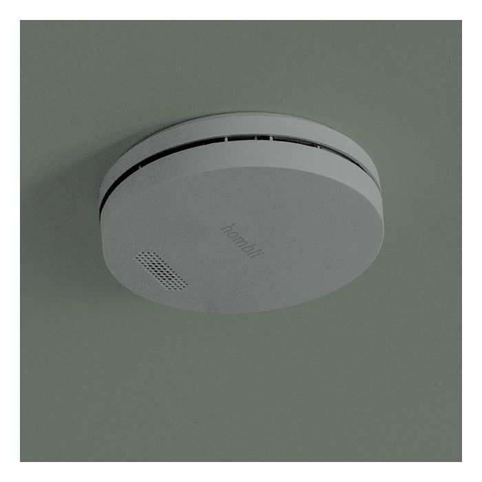 Hombli HBSA-0108 Detector fotoeléctrico de reflexión Inalámbrico Gris Hogar 85 dB