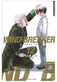 Penguin Random House Grupo Editorial WIND BREAKER 12