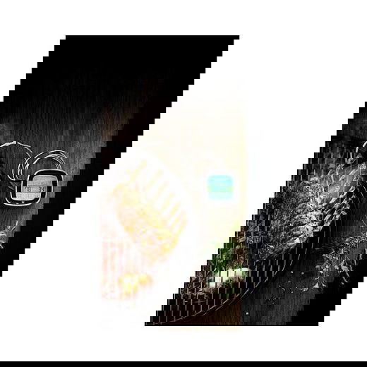 WMF 608196030 Termómetro Digital BBQ, Acero Inoxidable, Rango -20 a 250 °C, Pantalla LCD