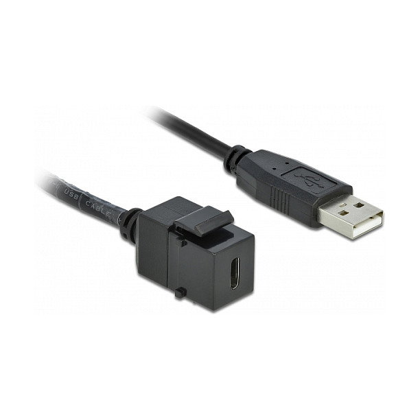 DeLOCK 86378 Módulo Keystone USB 2.0 C hembra a USB 2.0 A macho