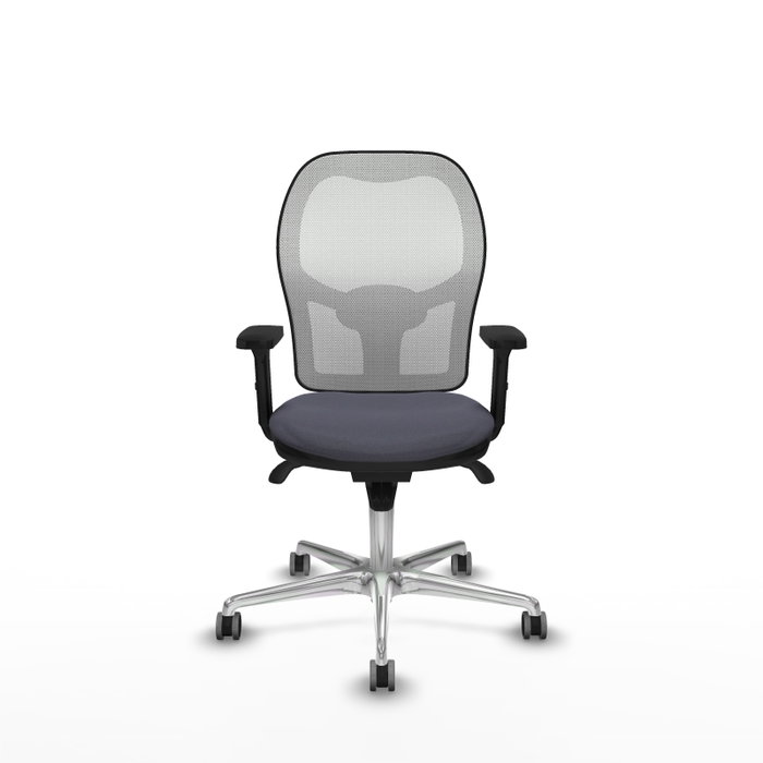 PIQUERAS Y CRESPO Silla de oficina Jorquera Gris oscuro y Blanco PIQUERAS Y CRESPO Silla de oficina Jorquera Gris oscuro y Blanco