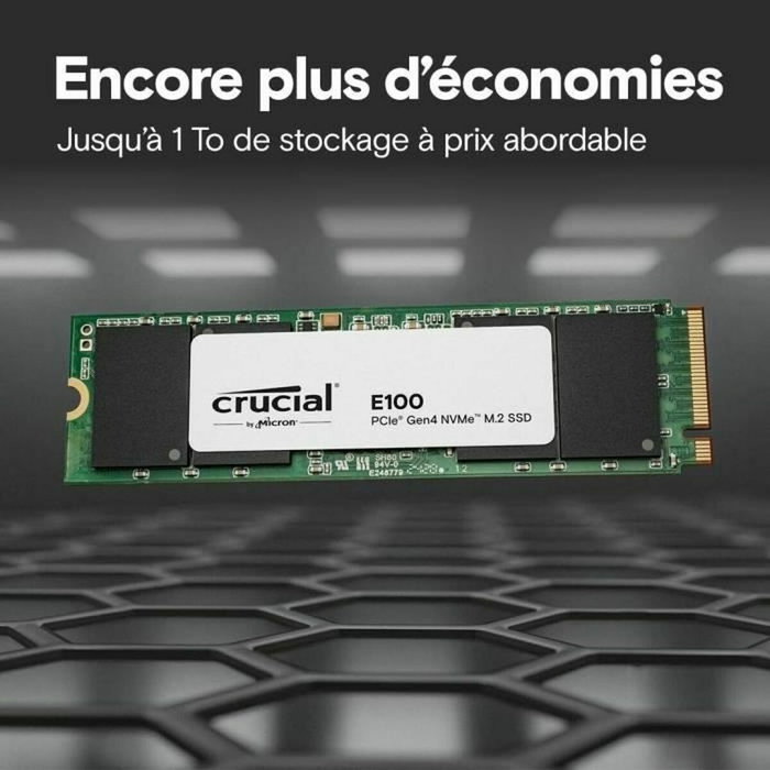 Crucial E100 2 TB M.2 NVMe PCIe 4.0 SSD