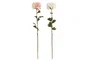 DKD Home Decor Flor Blanco Rosa 10 x 57 x 10 cm (12 Unidades)