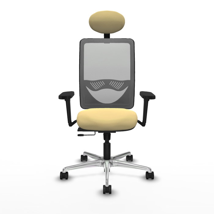 PIQUERAS Y CRESPO Silla de oficina Zulema con mecanismo Sincro/Traslack, Crema y Gris PIQUERAS Y CRESPO Silla de oficina Zulema con mecanismo Sincro/Traslack, Crema y Gris