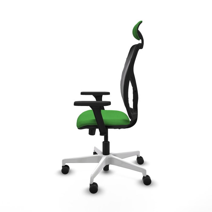 PIQUERAS Y CRESPO Silla de oficina Motilla con mecanismo Sincro/Traslack Verde y Negro PIQUERAS Y CRESPO Silla de oficina Motilla con mecanismo Sincro/Traslack Verde y Negro