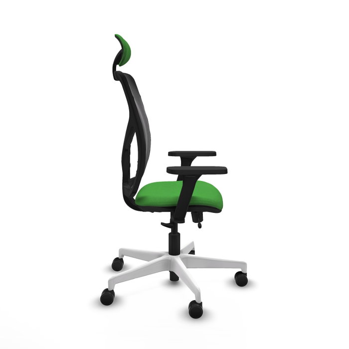 PIQUERAS Y CRESPO Silla de oficina Motilla con mecanismo Sincro/Traslack Verde y Negro PIQUERAS Y CRESPO Silla de oficina Motilla con mecanismo Sincro/Traslack Verde y Negro