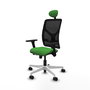 PIQUERAS Y CRESPO Silla de oficina Motilla con mecanismo Sincro/Traslack Verde y Negro