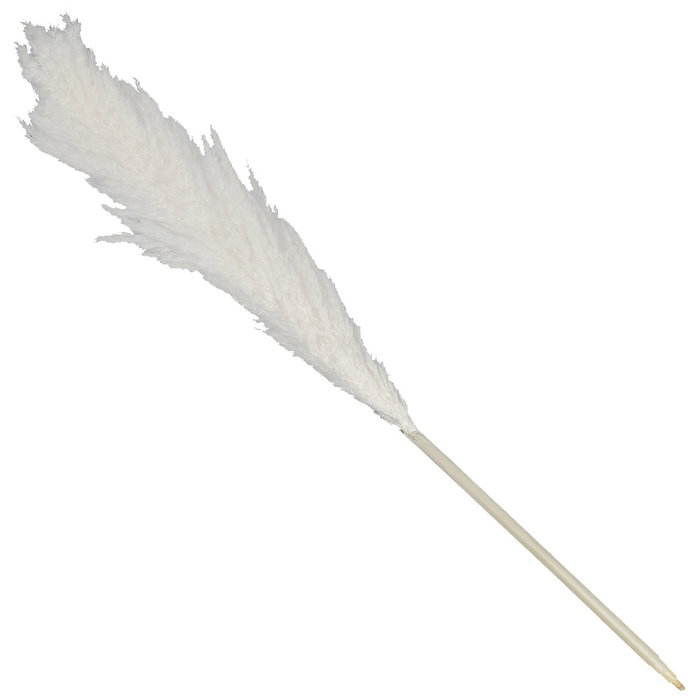 Home Deco Factory Pampa Natural altura 120 cm Home Deco Factory Pampa Natural altura 120 cm