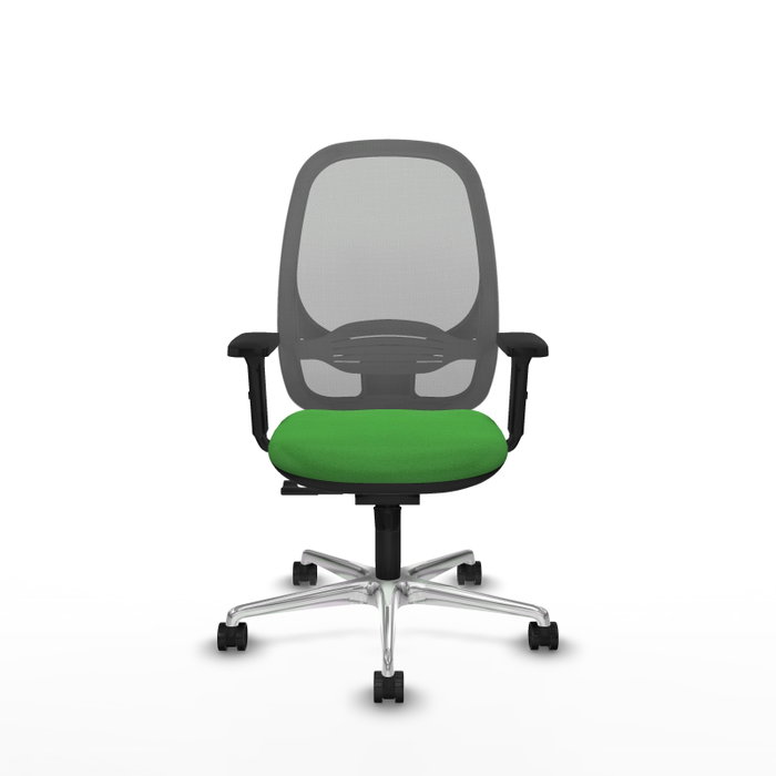 PIQUERAS Y CRESPO Silla de oficina Cilanco con mecanismo Sincro, Tela Verde y Malla Gris