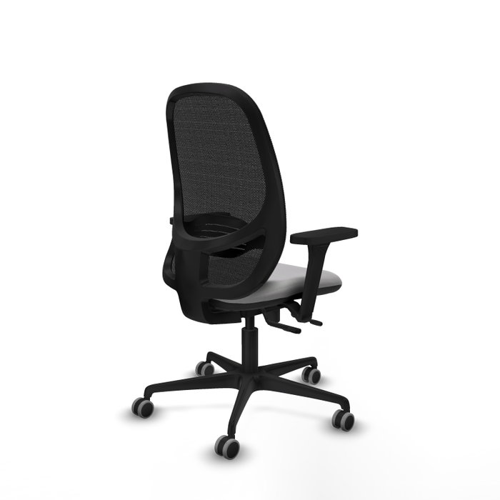 PIQUERAS Y CRESPO Silla de oficina Cilanco con mecanismo Sincro/Traslack, Gris claro y Negro PIQUERAS Y CRESPO Silla de oficina Cilanco con mecanismo Sincro/Traslack, Gris claro y Negro