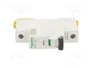 SCHNEIDER ELECTRIC iC60L Interruptor magnetotérmico 4A 1P 15kA
