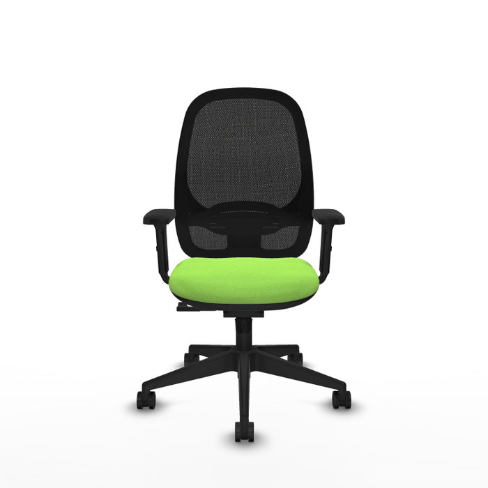 PIQUERAS Y CRESPO Silla de oficina Cilanco con mecanismo Sincro, Pistacho y Negro PIQUERAS Y CRESPO Silla de oficina Cilanco con mecanismo Sincro, Pistacho y Negro