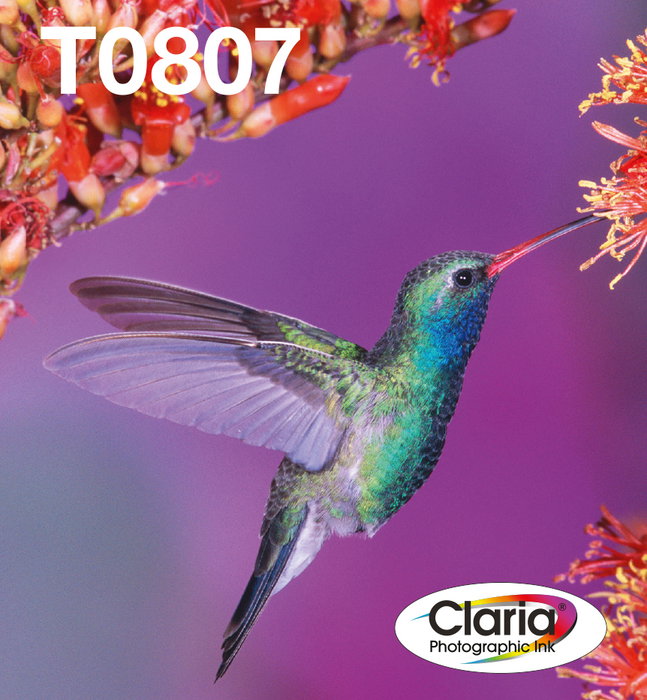 Epson T0807 Hummingbird Multipack de 6 Colores Claria™ Photographic