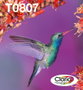 Epson T0807 Hummingbird Multipack de 6 Colores Claria™ Photographic