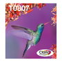 Epson C13T08074510 Pack de 6 Cartuchos de Tinta Originales Easy Mail T0807 Kolibri Claria Photo, Negro, Cian, Cian claro, Magenta, Magenta claro, Amarillo - Multipack