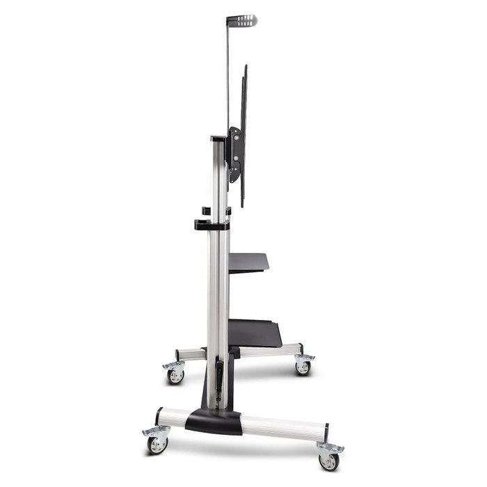 StarTech.com Carrito Soporte Móvil para TV de 60 a 100 Pulgadas, Ajustable en Altura
