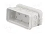 ELEKTRO-PLAST NASIELSK Caja de conexiones gris IP55