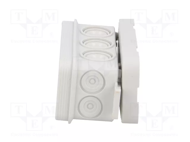 ELEKTRO-PLAST NASIELSK Caja de conexiones gris IP55