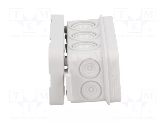 ELEKTRO-PLAST NASIELSK Caja de conexiones gris IP55