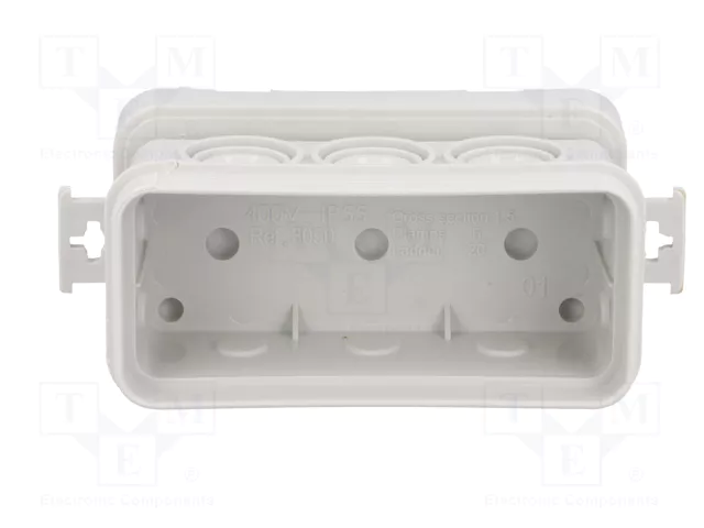 ELEKTRO-PLAST NASIELSK Caja de conexiones gris IP55