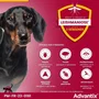 Advantix Pipetas antiparasitarias 4 pipetas para perros muy pequeños de 1,5 a 4 kg