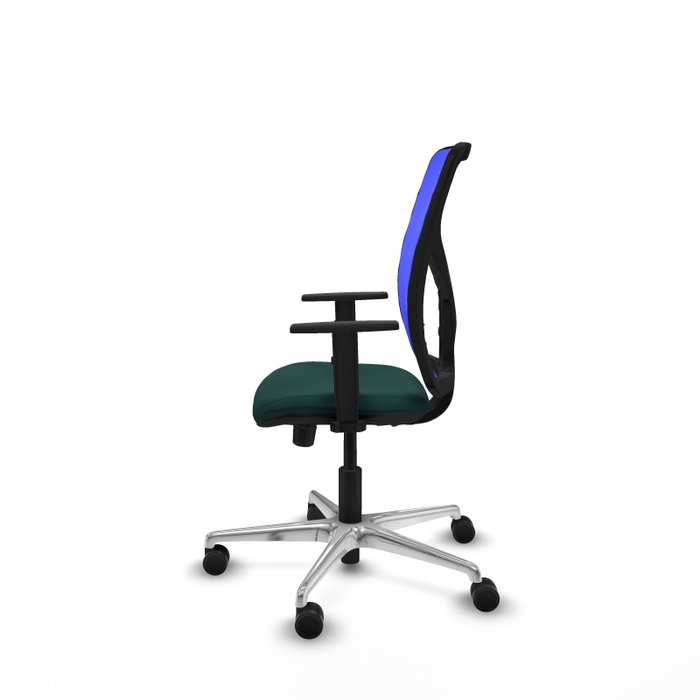 PIQUERAS Y CRESPO Silla de oficina Motilla con mecanismo Sincro/Traslack Verde botella y Azul PIQUERAS Y CRESPO Silla de oficina Motilla con mecanismo Sincro/Traslack Verde botella y Azul