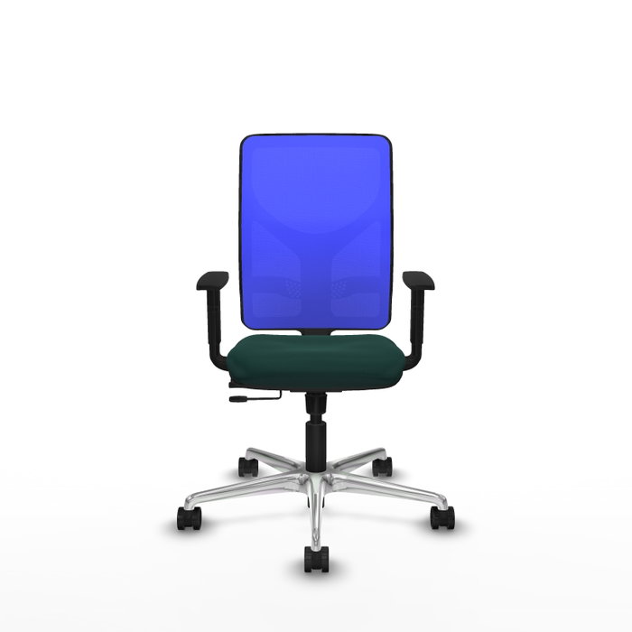 PIQUERAS Y CRESPO Silla de oficina Motilla con mecanismo Sincro/Traslack Verde botella y Azul PIQUERAS Y CRESPO Silla de oficina Motilla con mecanismo Sincro/Traslack Verde botella y Azul