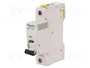 SCHNEIDER ELECTRIC Interruptor magnetotérmico iC60N 63A 1 Polo Característica D
