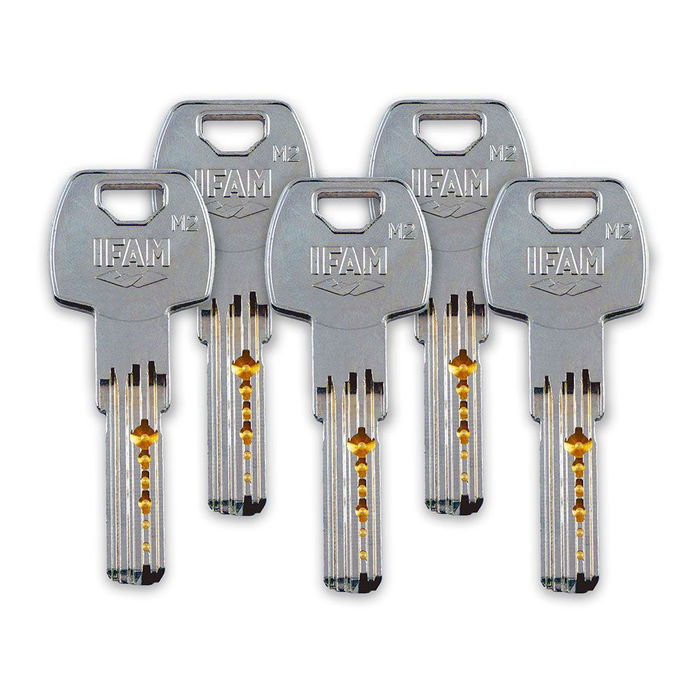 Ifam Cerrojo cs88l m50 Acabado Latonado Cilindro 50mm 5 Llaves de Seguridad Acero