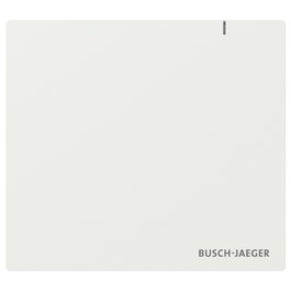 BUSCH-JAEGER System Access Point 3.0 2CKA006200A0868, Placa Frontal Blanca Mate IP20 Termoplástico, RoHS