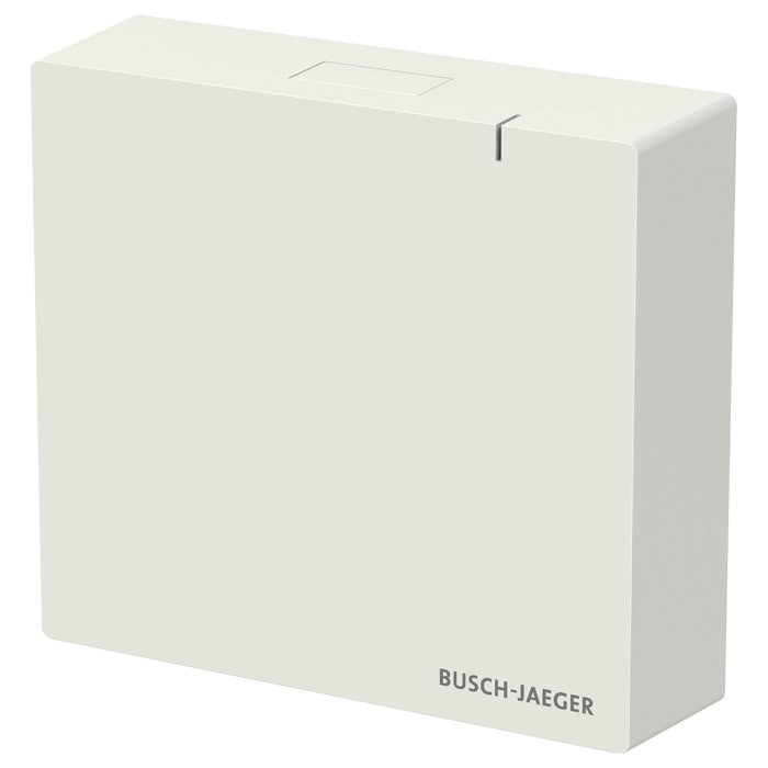 BUSCH-JAEGER System Access Point 3.0 2CKA006200A0868, Placa Frontal Blanca Mate IP20 Termoplástico, RoHS