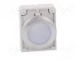 EATON ELECTRIC Lámpara de control RMQ-Titan M22-LED Blanco