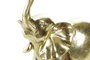 DKD Home Decor Figura de Elefante Dorado en Resina