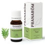 Pranarom Aceite Esencial Thuya occidentalis 10 ml