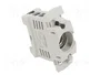 Mersen 04724.000000 INNOZED Cubierta para TS D01 16A 1pol