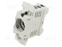 Mersen 04724.000000 INNOZED Cubierta para TS D01 16A 1pol