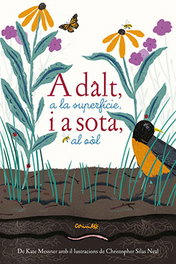 CORIMBO, ADALT A LA SUPERFÍCIE I A SOTA AL SOL - Kate Messner; Christopher Silas Neal