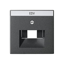 GIRA 028428 Cubierta BSF UAE/IAE/ISDN System 55 Antracita