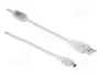 DeLOCK Cable USB 2.0 de Tipo A a Mini-B 5m transparente