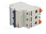 GEWISS Interruptor magnetotérmico MT 60 3 polos 10A 6kA